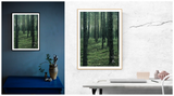 Foto Poster Wald