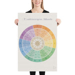 Poster The diatonic scale