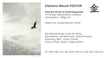 FS -  Metal Bird Poster